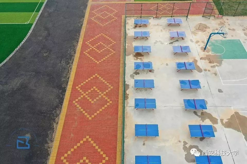 颜值超高|这所知名大学在临潼有了新校园......