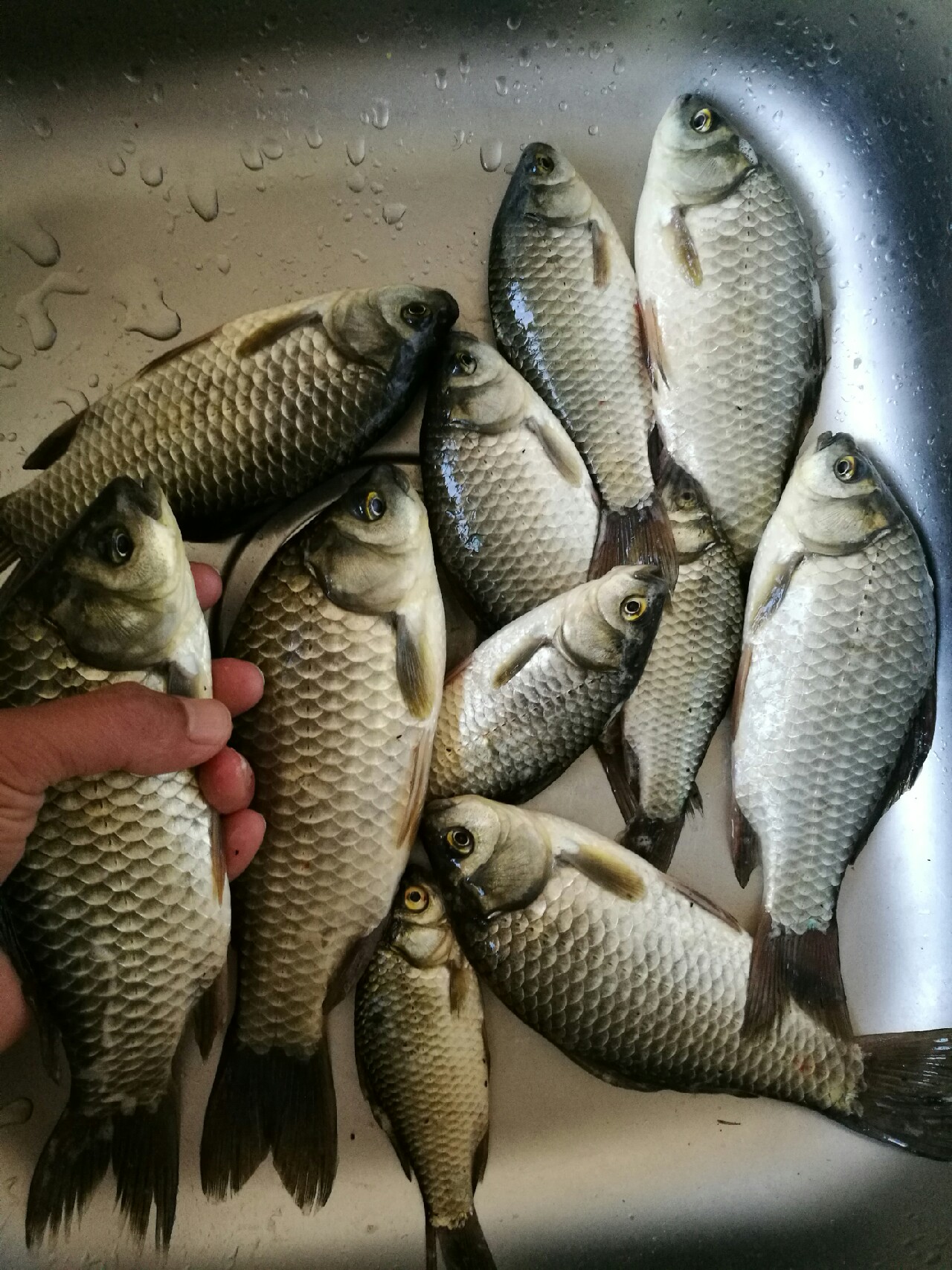 钓鱼爆护口诀100句,为钓鱼付出过哪些努力