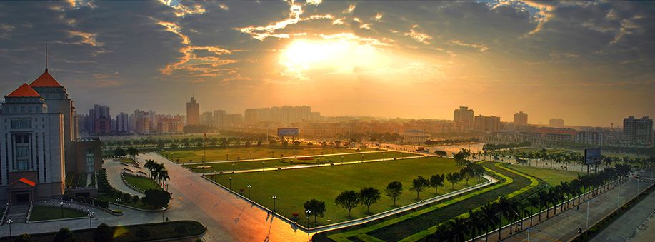 权威发布|这样的花都，太上头了！