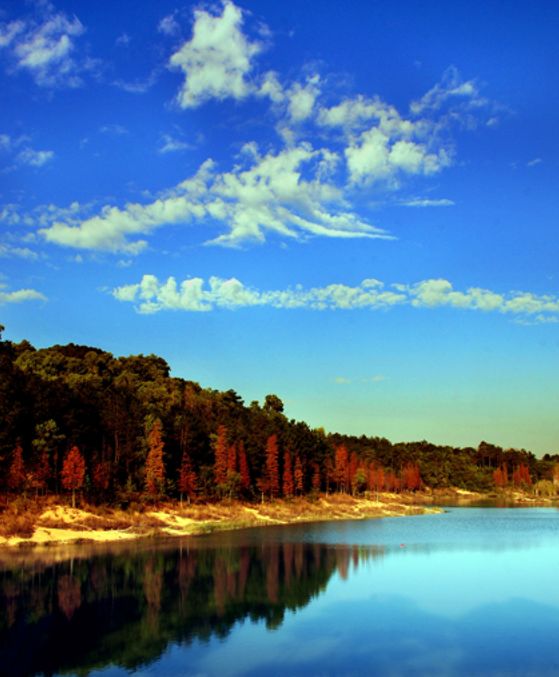 权威发布|这样的花都，太上头了！