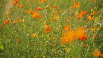 把世界上zui「火热」的石头，封进小罐，老司机一眼就沦陷