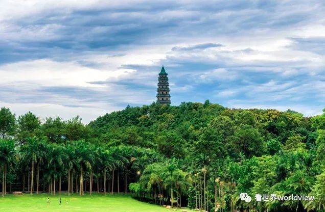 广西今日头条地址,广西有哪些头条自媒体