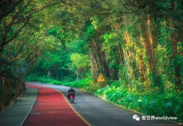 广西今日头条地址,广西有哪些头条自媒体