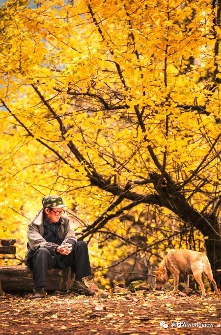 广西今日头条地址,广西有哪些头条自媒体