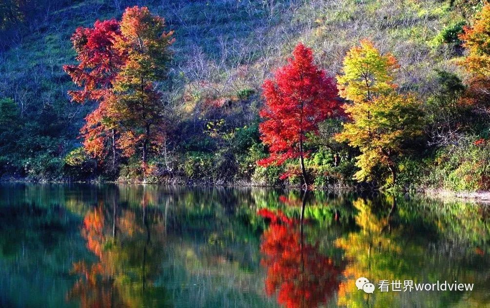 广西今日头条地址,广西有哪些头条自媒体
