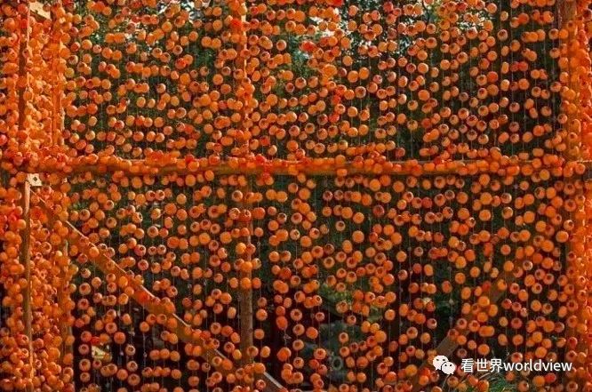 广西今日头条地址,广西有哪些头条自媒体