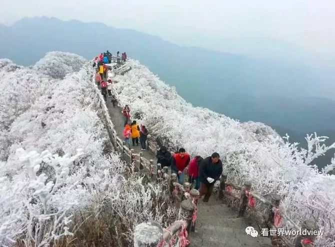广西今日头条地址,广西有哪些头条自媒体