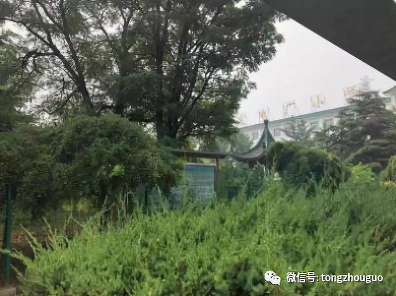 通州被吐槽的乡村小学翻身了！区长都来参加升级仪式了