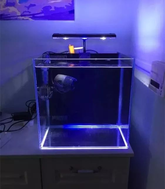 40方缸用背滤,40公分背滤