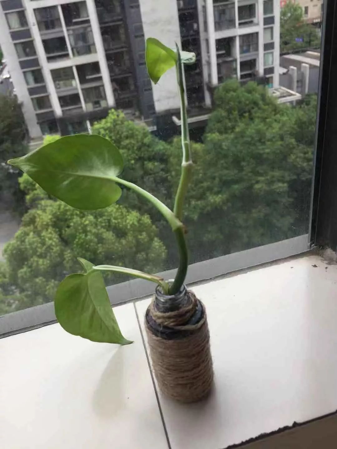 垃圾分类公益行动,垃圾分类我能行绿色生活我先行