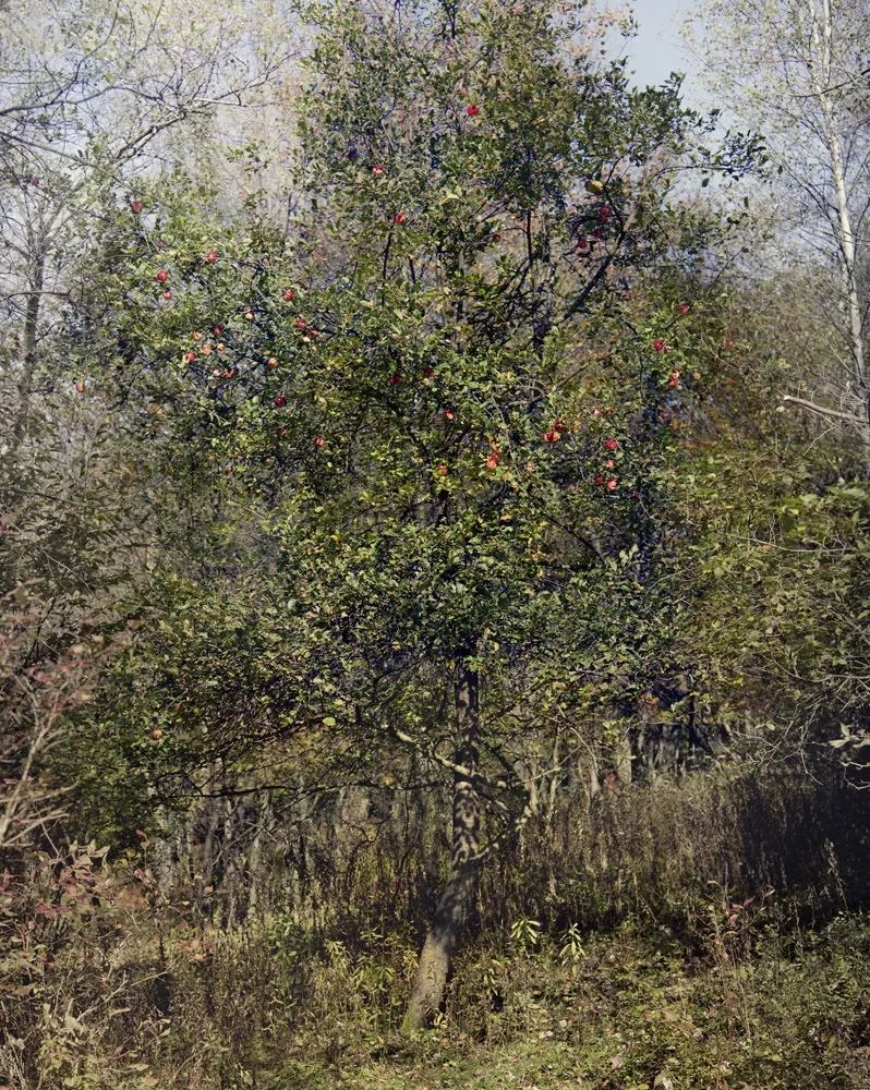 最好的摄影微单,最好的摄影作品