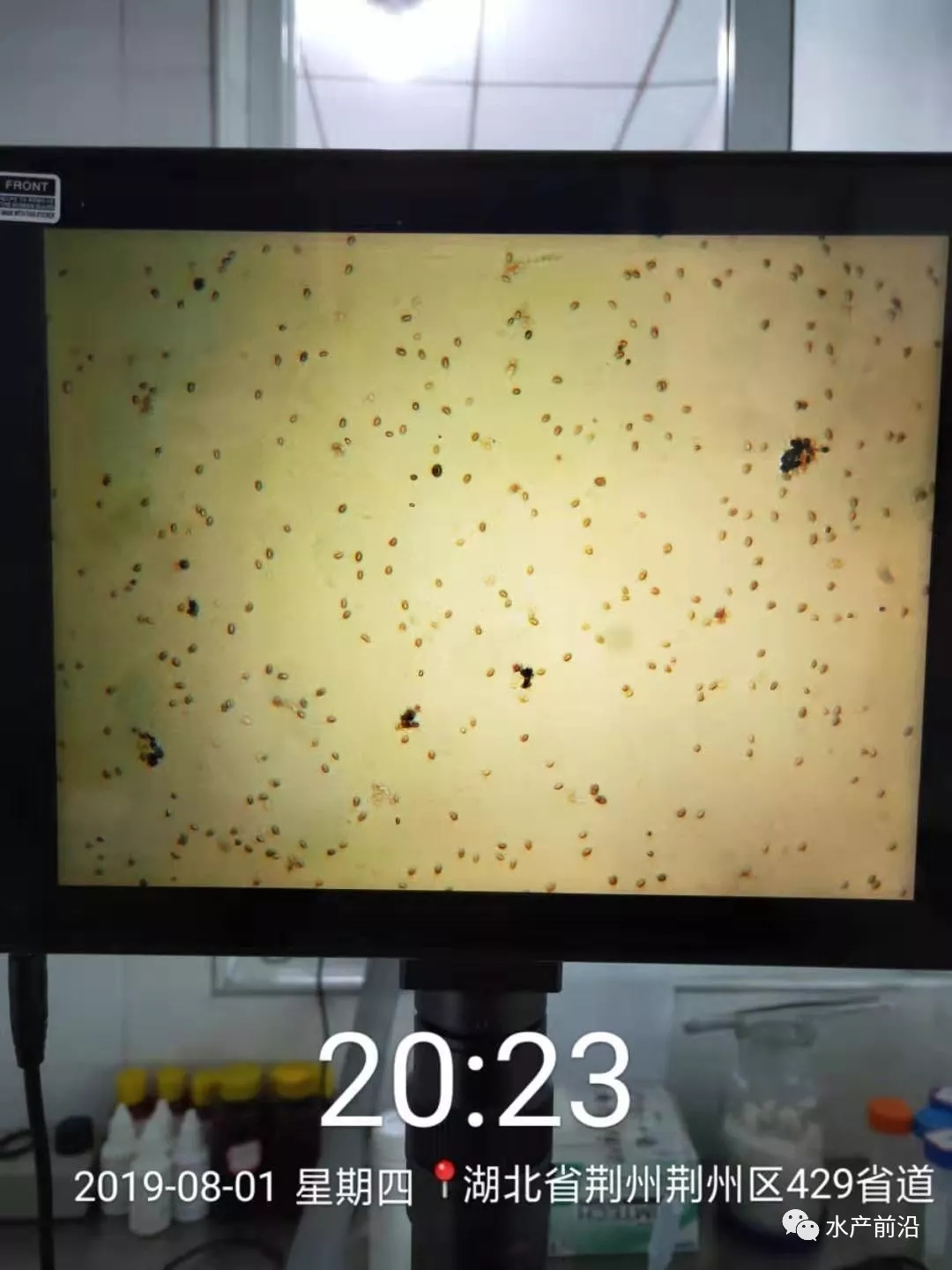 氨氮亚盐藻类,藻类吸收氨氮亚硝酸盐顺序