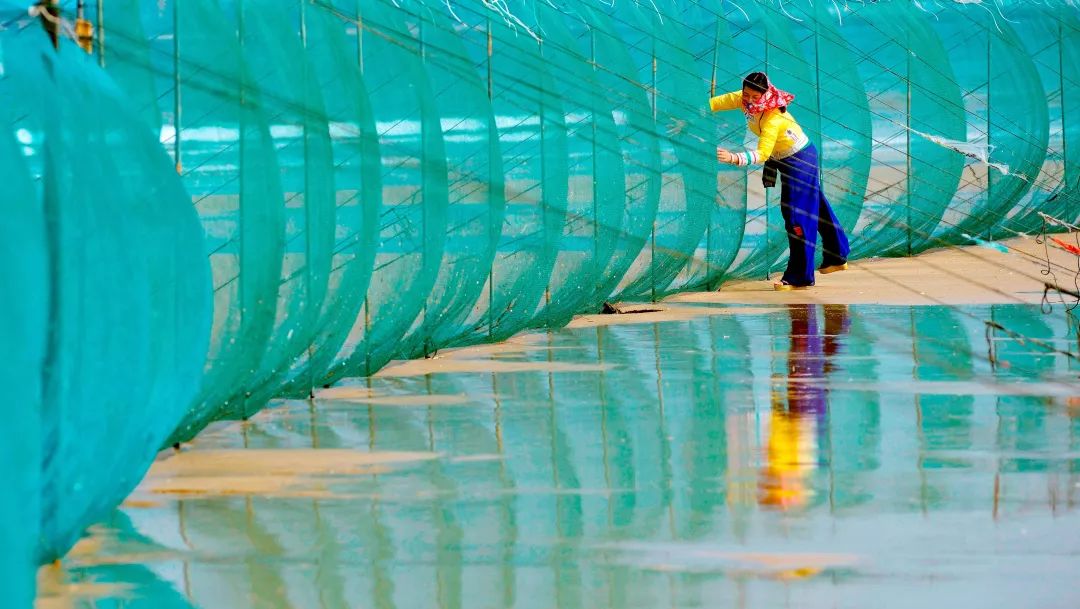 你以为的福建泉州惠安,你以为的泉州惠安