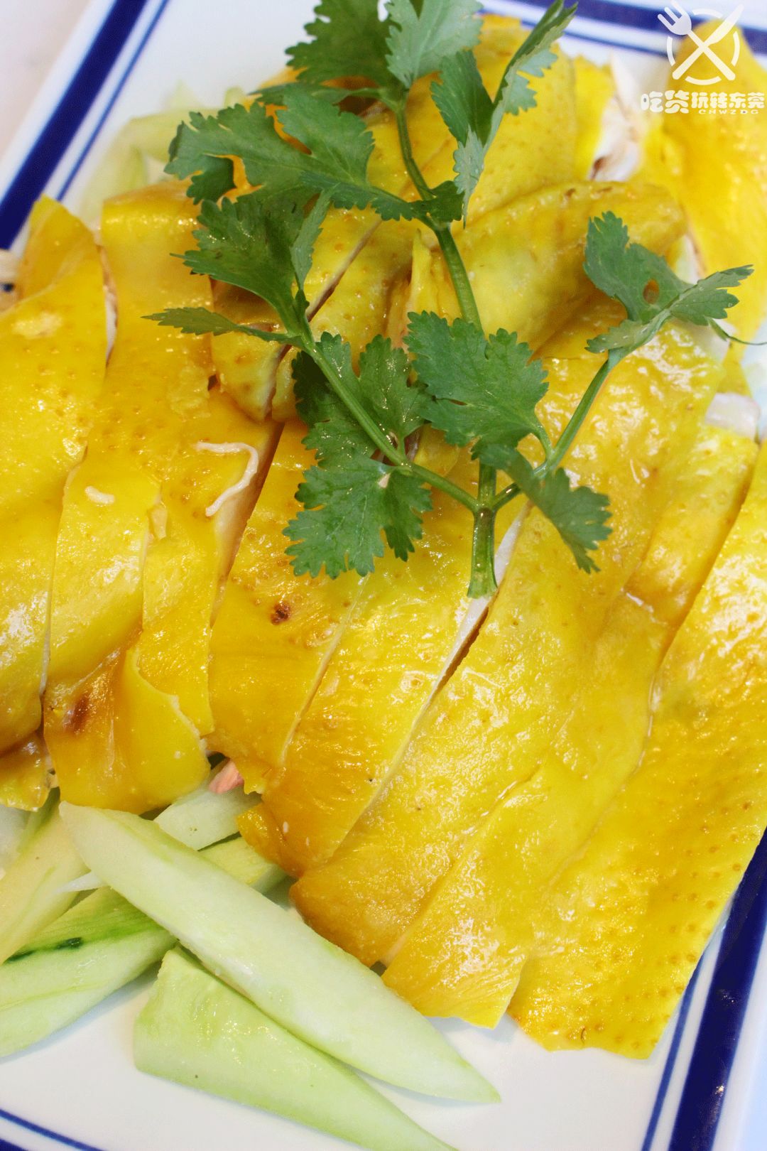 鸡苗高口碑店铺,口碑好的优质鸡