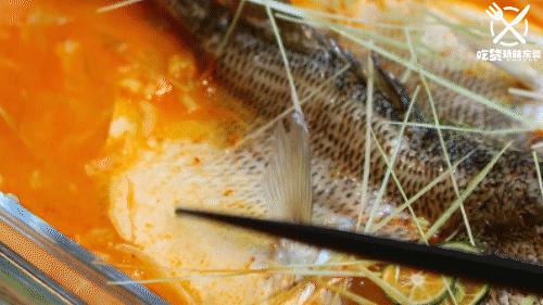 鸡苗高口碑店铺,口碑好的优质鸡