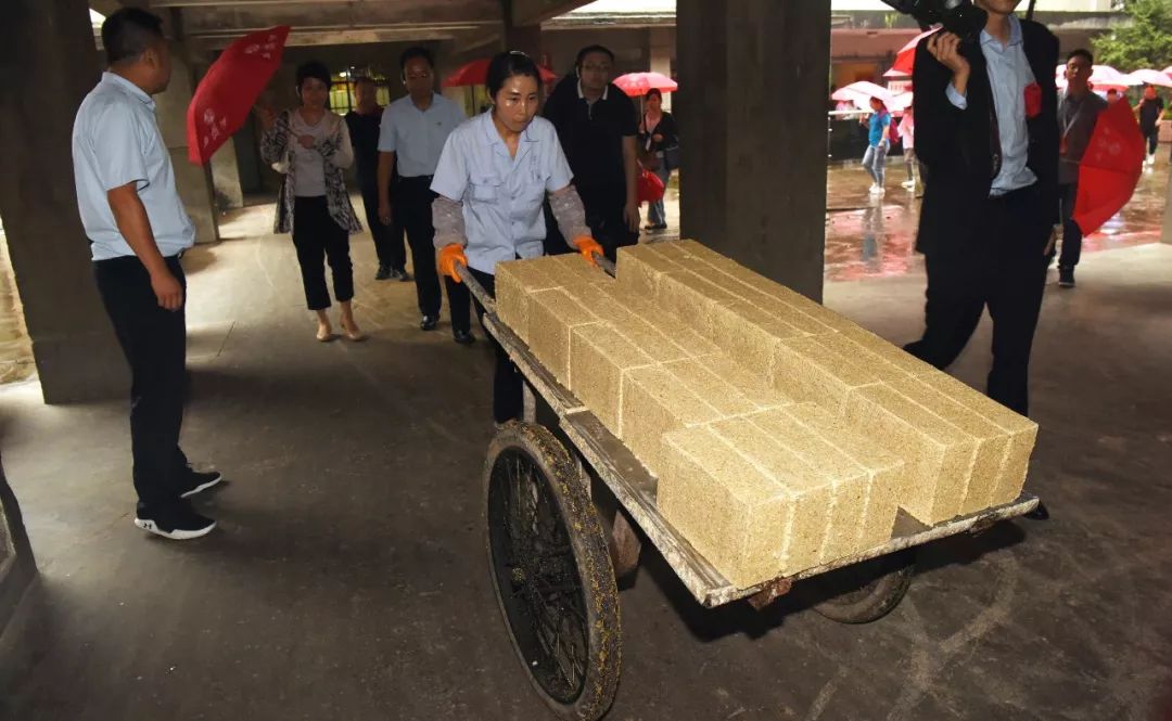 丝路行活动,全国媒体新疆丝路行