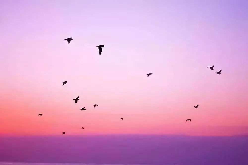 自我提升的最佳方法,自我提升的方法