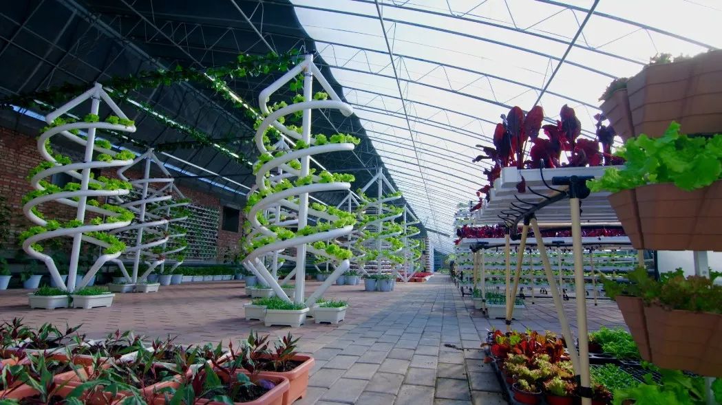 「聚焦」隐藏在CHI（赤）FENG（峰）里的秘密，你发现了吗？