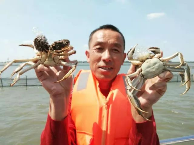 2020年阳澄湖大闸蟹开捕地点,阳澄湖大闸蟹官方开捕时间