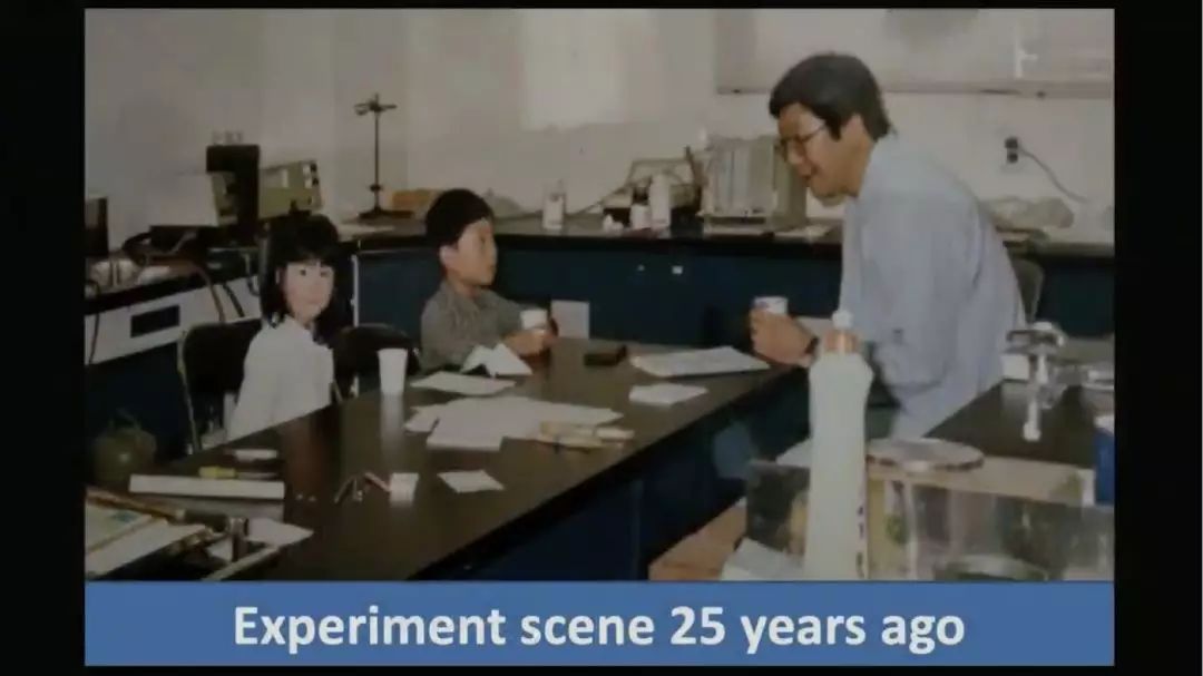 多吃披萨会怎么样,多吃pizza的好处