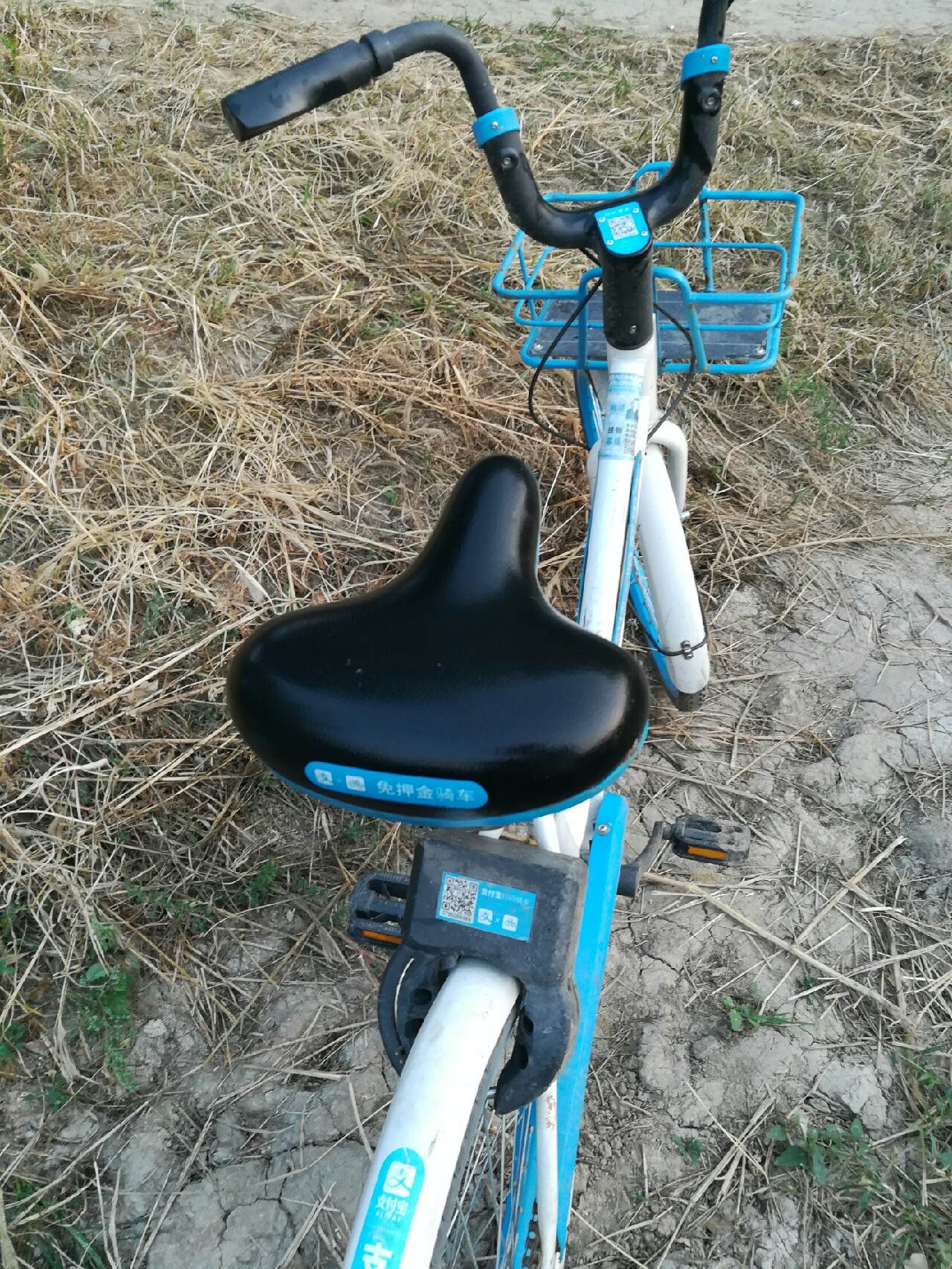 七星连珠天象现身预示什么,七星连珠将现身这有什么意义