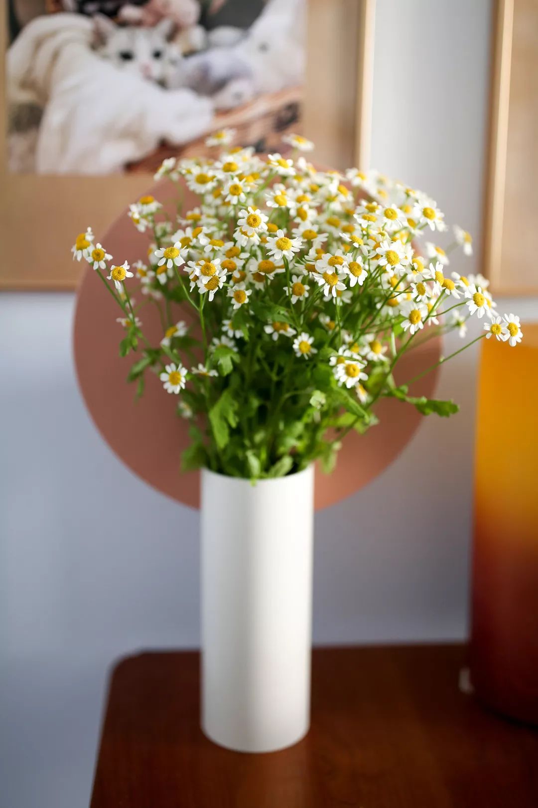 100卡奶茶、2位数软糯运动内衣、透明防晒..|9月好物