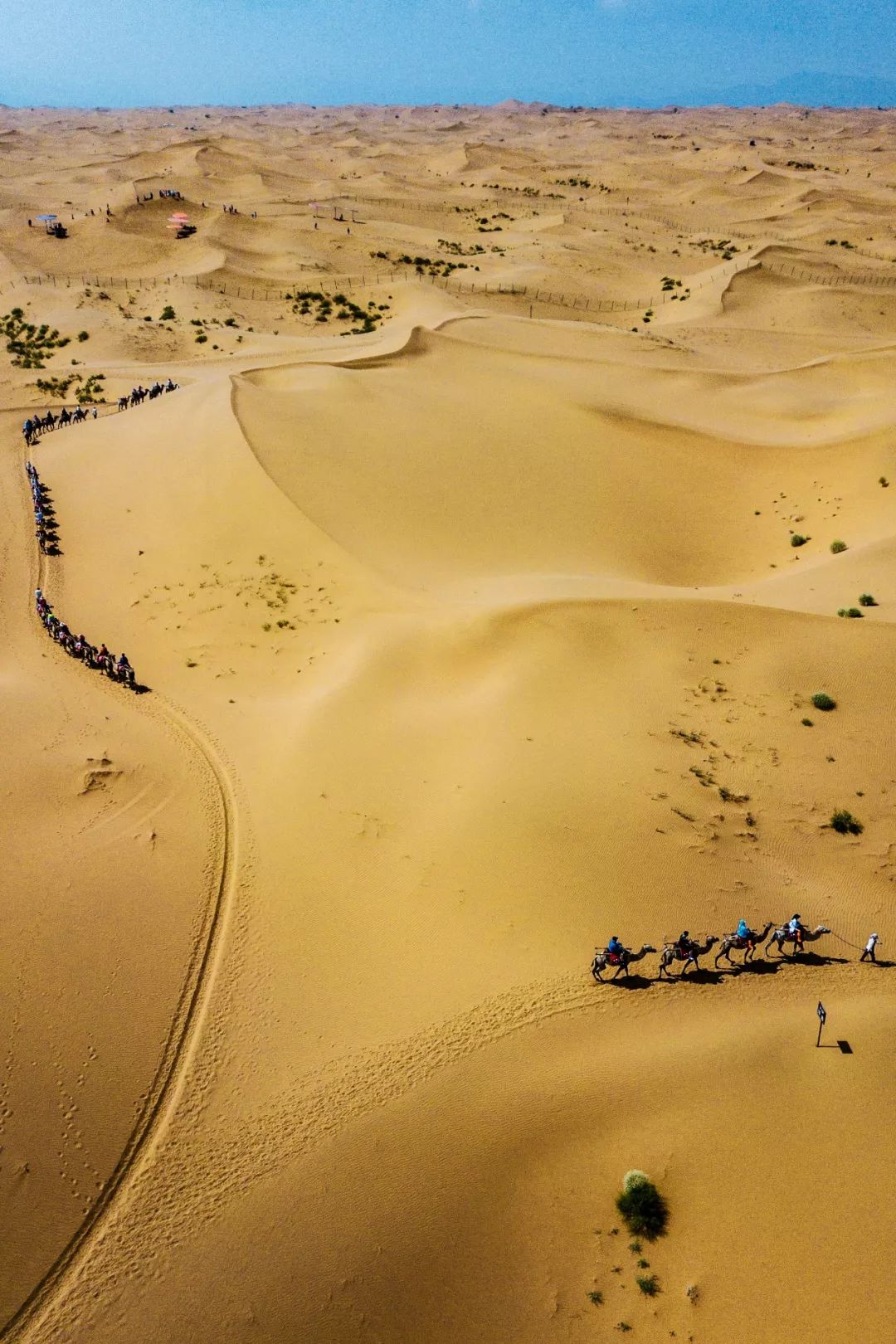 宁夏有多少神奇的故事,宁夏古老的传说