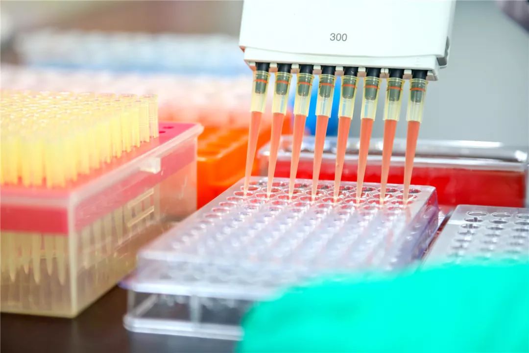 普莱柯生物张许科,创新创业与家国情怀