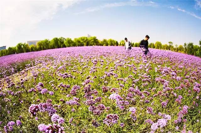 石嘴山资源枯竭,石嘴山的发展变化