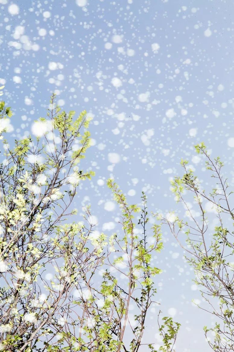 怎样在朋友圈晒自己的美照,假期出游美照秘诀