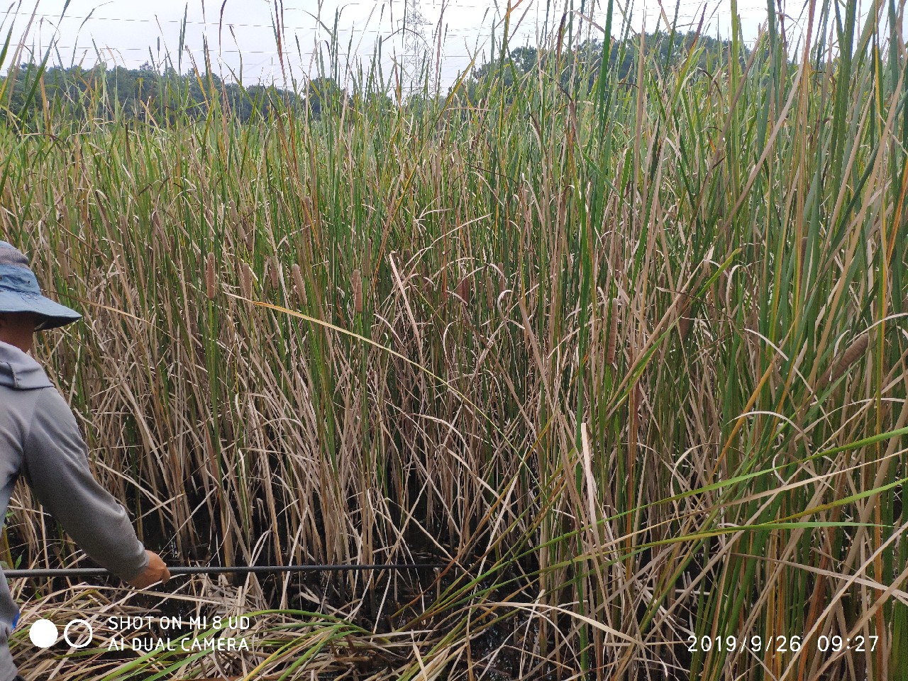 提高路亚中鱼率,打黑用什么假饵中鱼率高