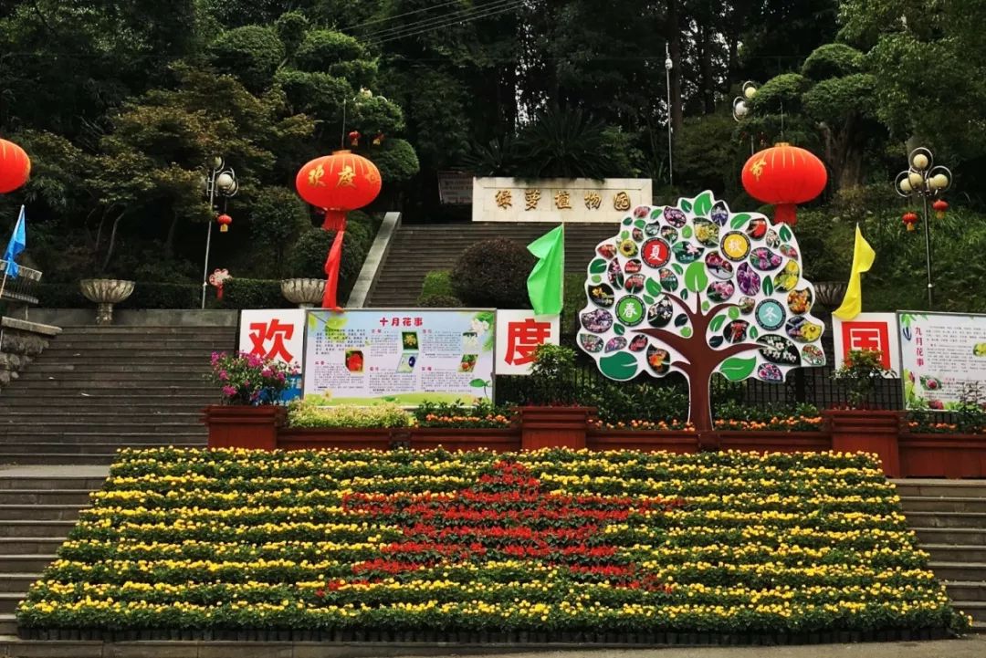 花漾宜昌如此美丽！44万盆鲜花全城绽放