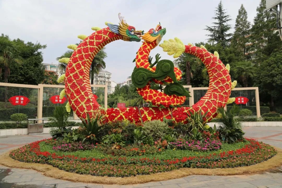 花漾宜昌如此美丽！44万盆鲜花全城绽放