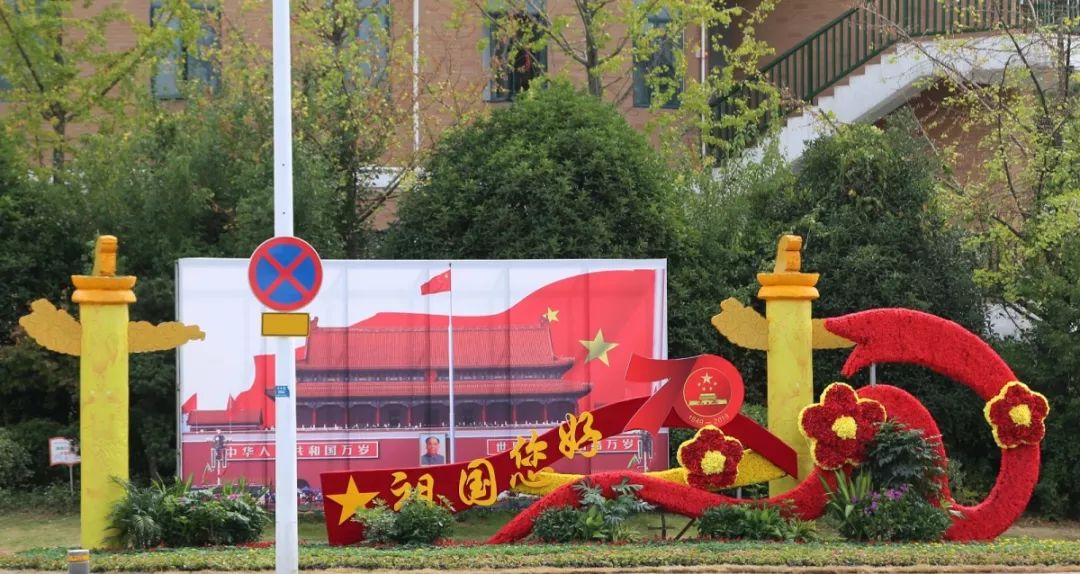 花漾宜昌如此美丽！44万盆鲜花全城绽放