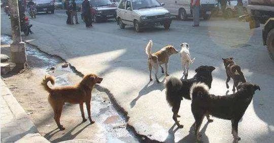 2020年合肥物业小区排名,合肥第二季度各区物业排名