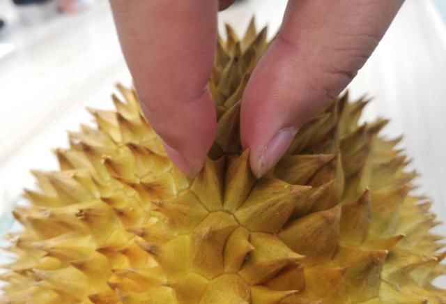 挑选榴莲三大技巧榴莲控必看,不会挑榴莲记住这三点