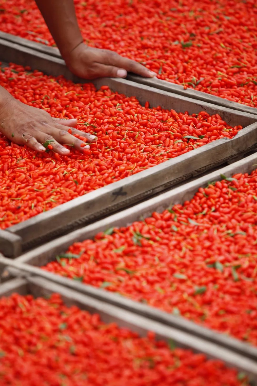 宁夏有多少神奇的故事,宁夏古老的传说