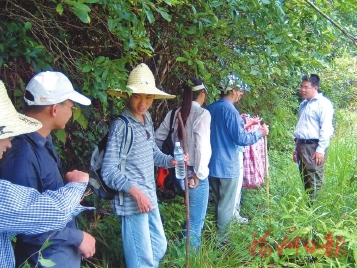 黄楮林在哪里,福建闽清黄楮林