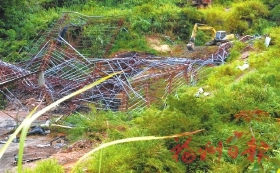 黄楮林在哪里,福建闽清黄楮林