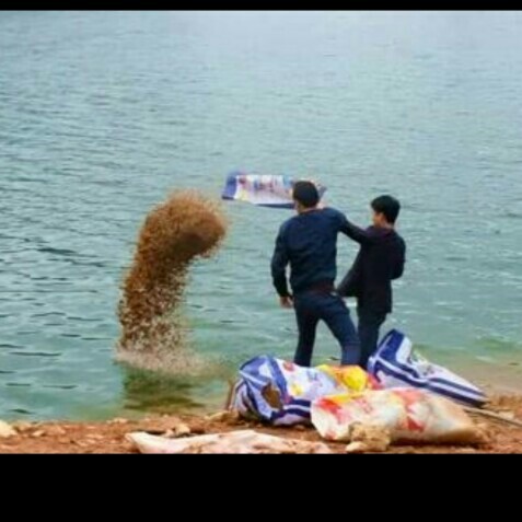 钓鱼的感悟心得,钓鱼的道理及感悟