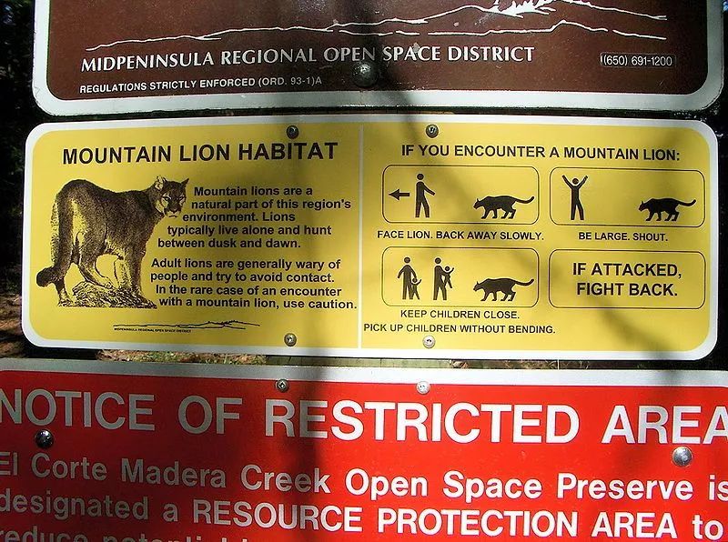 “你看那个人，好像在用浣熊投毒。”