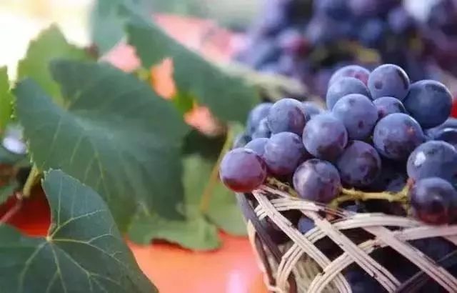 成都天府新区永安生物科技产业园,双流永安生物城二期