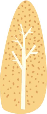 加拿大阿尔伯塔大学留学生活纪实,加拿大阿尔伯塔大学