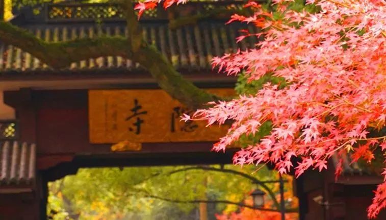 不输京都的乘船入户体验，15000m²水边村落刷新江浙沪度假体验，错峰直降千元