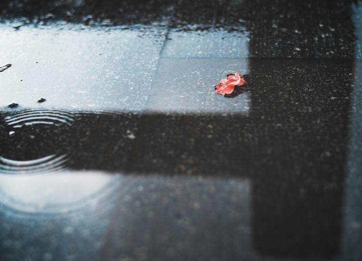 不输京都的乘船入户体验，15000m²水边村落刷新江浙沪度假体验，错峰直降千元