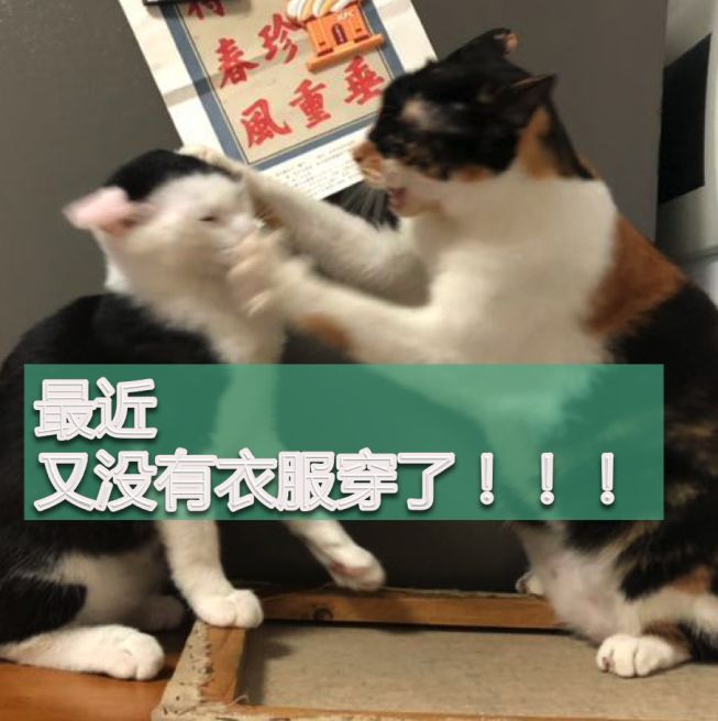 卡地亚限量窄版手镯,卡地亚新款手镯时尚减龄黄金