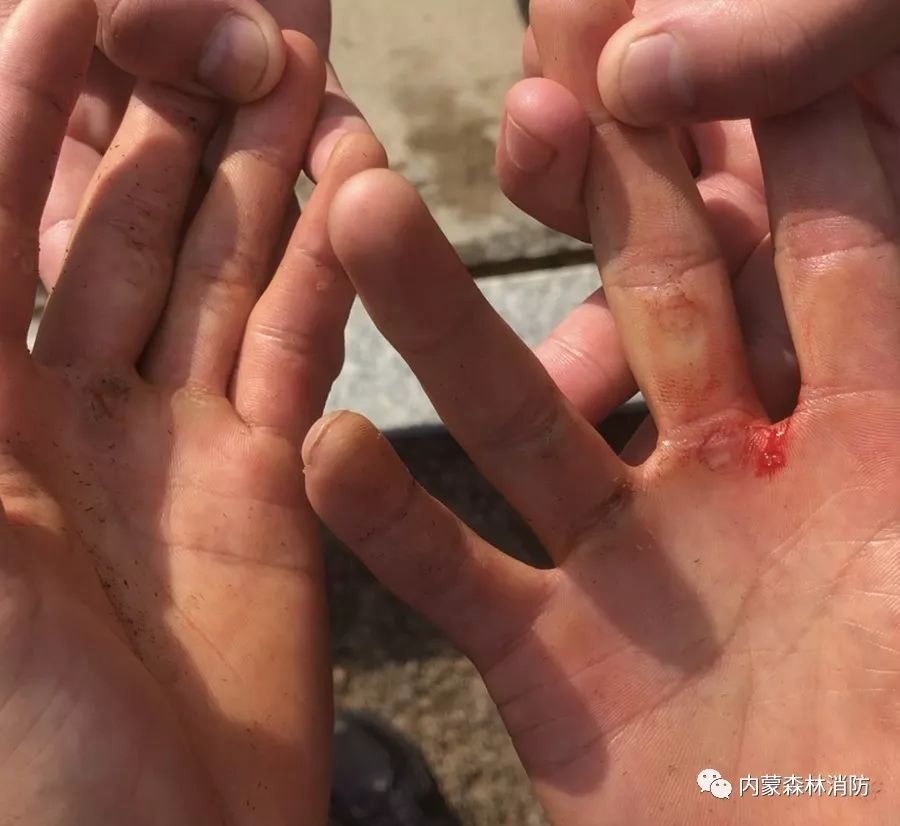 主题教育消防员战斗精神有提升,森林消防让主题教育在保障工作中