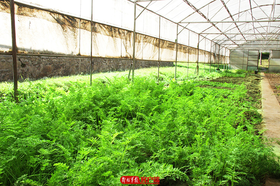 一口老灶,一口老铁锅百年传承手艺