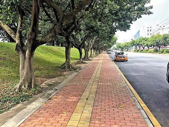 不文明行为随手拍持续曝光脏乱差,不文明行为曝光台机动车乱停乱放