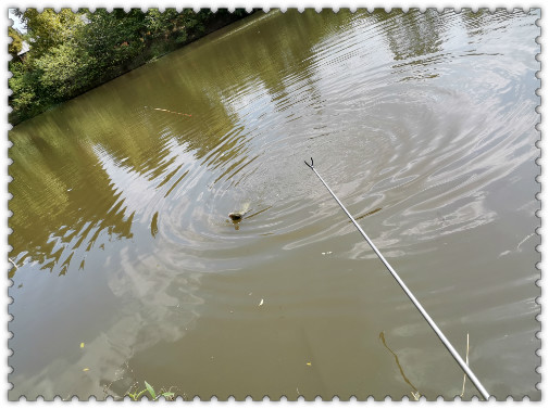 閲庢垬钃濋搏閽撻奔,閲庢垬钃濋搏